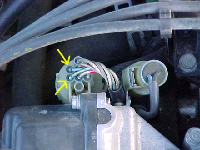 Mvc-004s_b.jpg (41747 bytes)